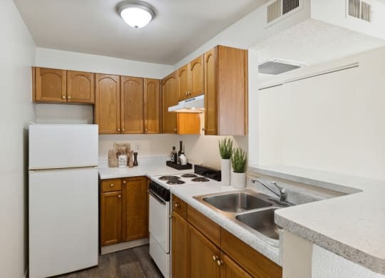 Model classic apartment kitchen