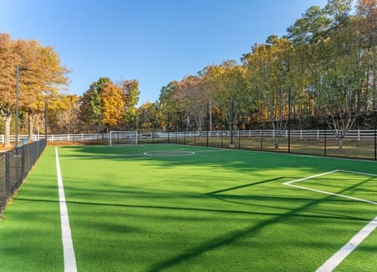 Soccer field