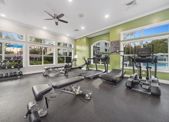 Community Fitness Center with Equipment at Vinings at Hunter's Green Apartments in Tampa, FL.