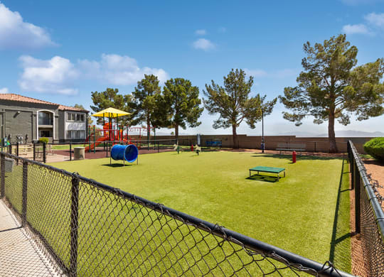 Community Dog Park with Agility Equipment at Loma Vista Apartments in Las Vegas, NV.