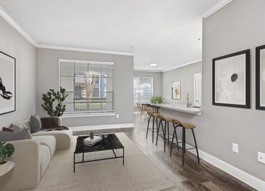 Model living and kitchen