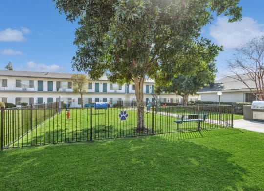 Community Dog Park with Grass, a Fence, & Agility Equipment at Forest Park Apartments in El Cajon, CA.