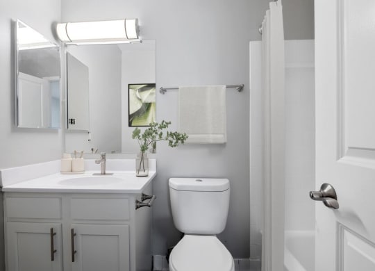Model bathroom