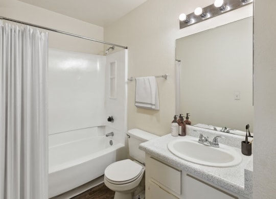 Model classic apartment bathroom