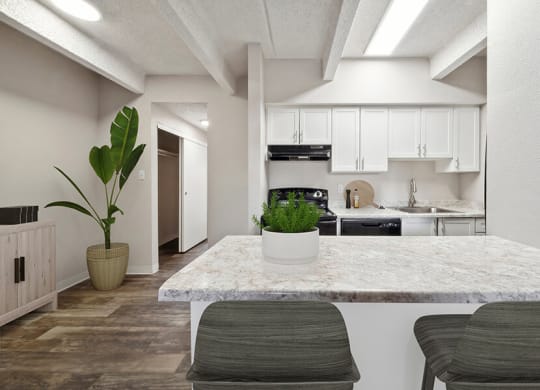 Model Kitchen with White Cabinets and Wood-Style Flooring at Esprit at Cherry Creek Apartments in Glendale, CO.