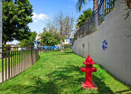 Community Dog Park with Agility Equipment at Cove La Mesa Apartments located in La Mesa, CA.