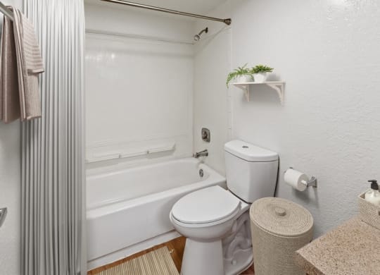 Model bathroom