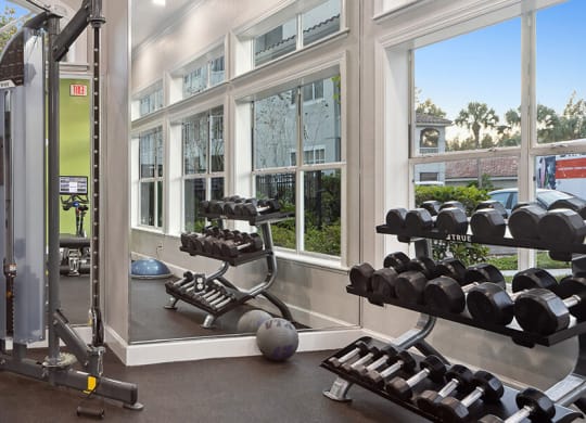 Community Fitness Center with Equipment at Vinings at Hunter's Green Apartments in Tampa, FL.