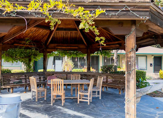 Covered patio with picnic tables at The Grove at Walnut Creek Apartments in Walnut Creek, CA.