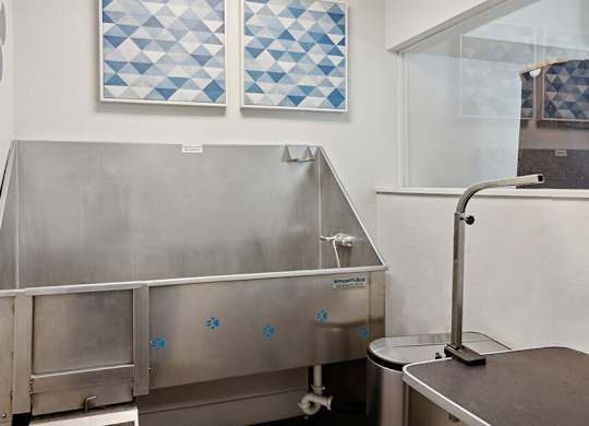 Community Dog Wash Station at Los Gatos Landing Apartments located in San Jose, CA.
