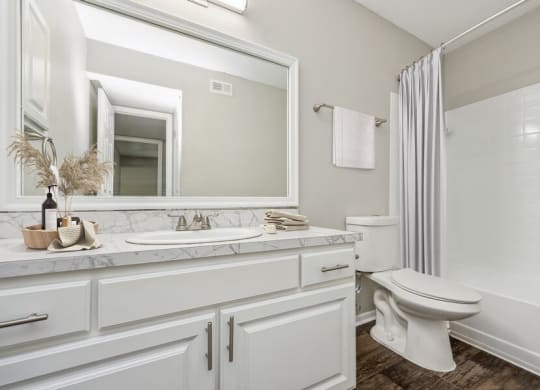 Model bathroom