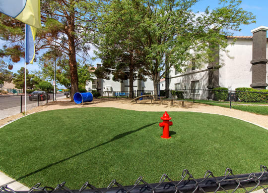 Community Dog Park with Agility Equipment at Meadow Ridge Apartments in Las Vegas, NV.