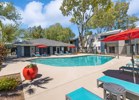 Community Swimming Pool with Pool Furniture at Solano Springs Apartments in Tucson, AZ.