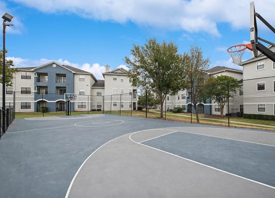 Community Sports Court at Hidden Creek Apartments located in Lewisville, TX.