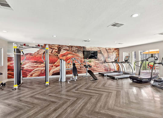 Community Fitness Center with Equipment at Loma Vista Apartments in Las Vegas, NV.