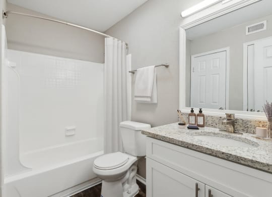 a bathroom with a shower toilet and a sink