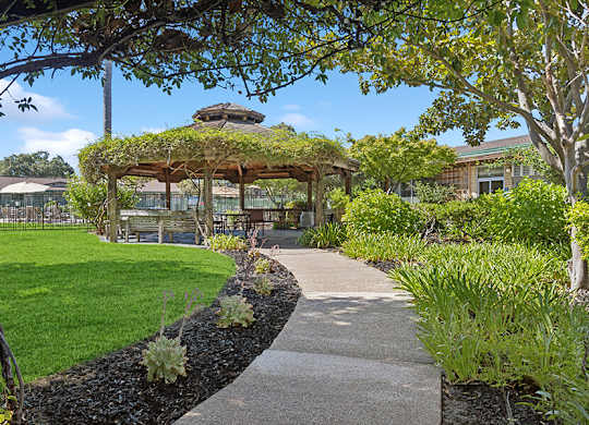 Gazebo with plants on top and a sidewalk at Walnut Creek Manor Apartments in Walnut Creek, CA