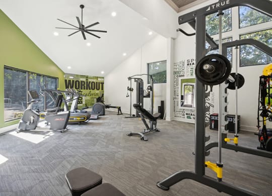 Community Fitness Center with Equipment at Arbor Village Apartments located in Charlotte, NC.