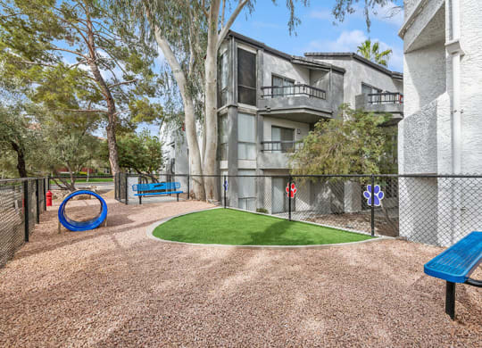 Community Dog Park with Agility Equipment at Crystal Creek Apartments in Phoenix, AZ.