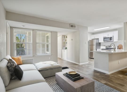 a living room and kitchen with a couch and a coffee table