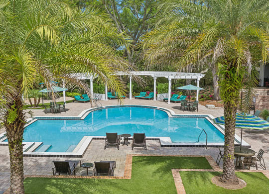 Aerial View of Community Swimming Pool with Pool Furniture at Grand Pavilion Apartments in Tampa, FL.