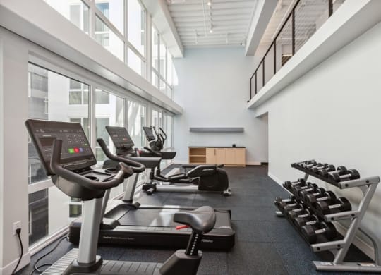 Fitness center with cardio equipment and large sun windows at TL Residences