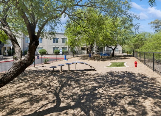 Community Dog Park with Agility Equipment at Ridgeline Apartments in Tucson, AZ.