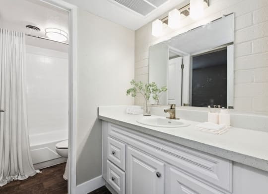 Model bathroom