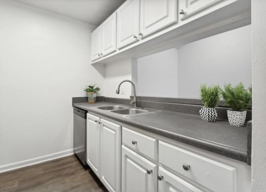 Model kitchen