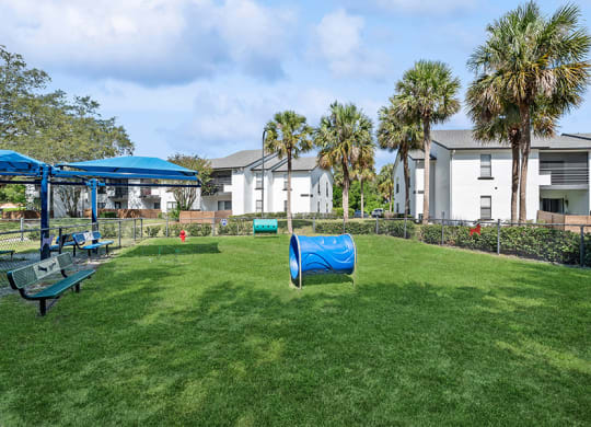 Community Dog Park with Agility Equipment at Rosehill Preserve Apartments in Orlando, FL.