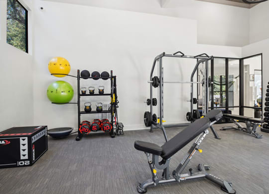 Community Fitness Center with Equipment at Arbor Village Apartments located in Charlotte, NC.