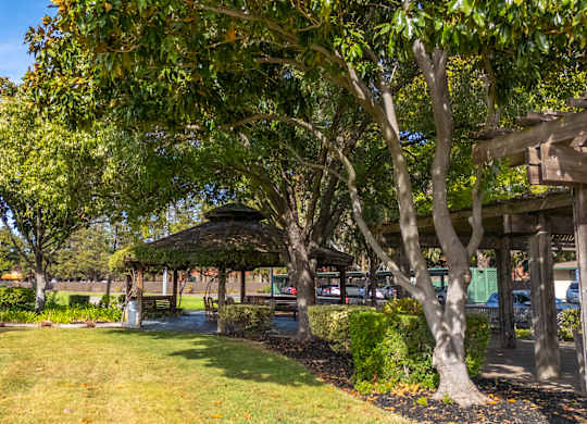 Green space, trees, and gazebo at The Grove at Walnut Creek Apartments in Walnut Creek, CA.