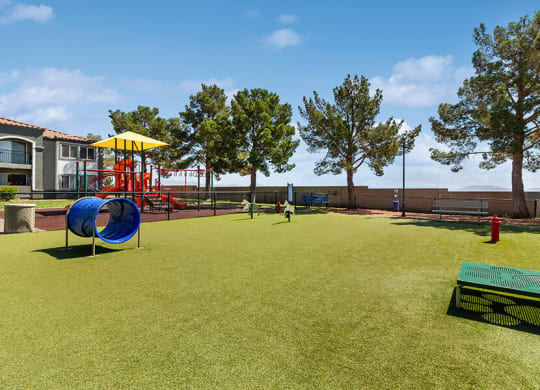 Community Dog Park with Agility Equipment at Loma Vista Apartments in Las Vegas, NV.