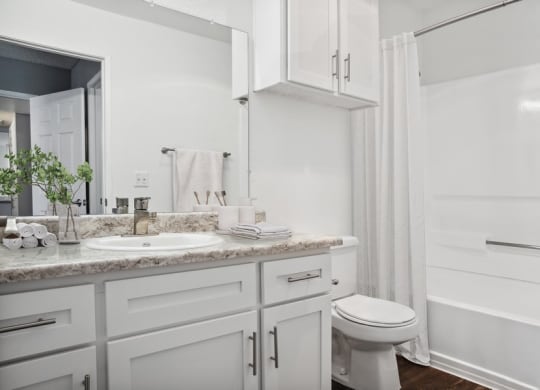 Model bathroom