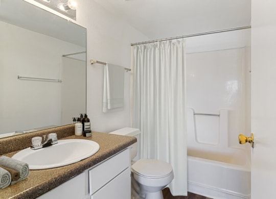 Model bathroom with white vanity