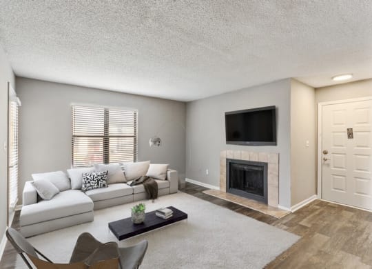Model living room showcasing large area and fireplace