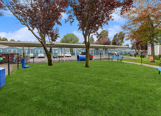Community Dog Park with Agility Equipment at Meritage Apartments in Vallejo, CA.