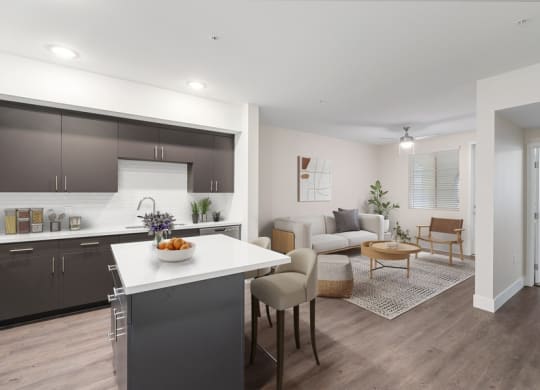 Model kitchen and living spaces