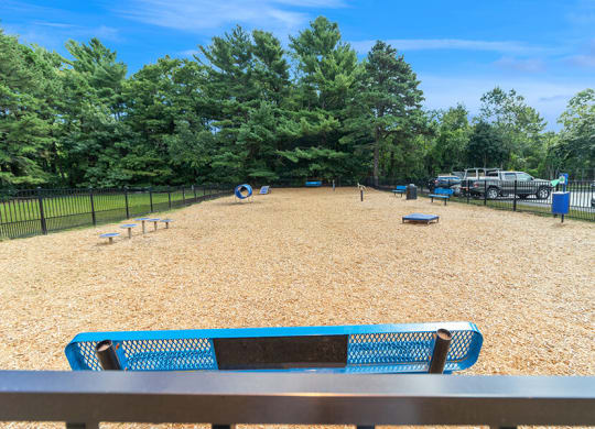 Community Dog Park with Agility Equipment at Village at Marshfield Apartments located in Marshfield, MA.