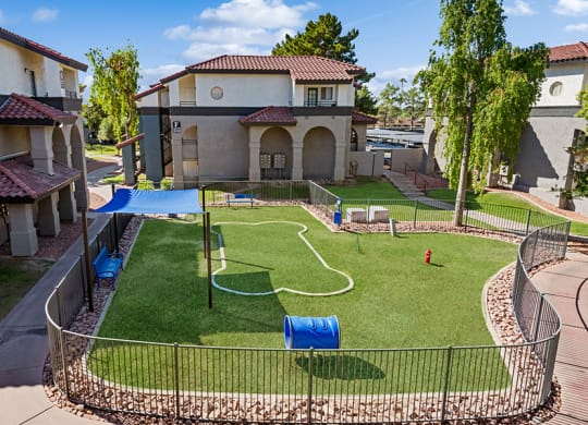 Community Dog Park with Agility Equipment at Stillwater Apartments in Glendale, AZ.
