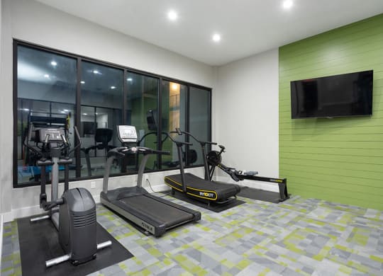 Community Fitness Center with Equipment at Haven at Water's Edge Apartments in Tampa, FL.