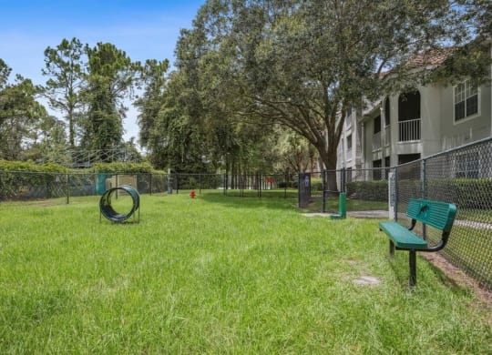 Dog park with Agility Equipment