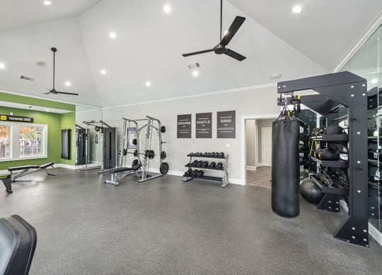 Community Fitness Center with Equipment at Bridges at Oakbend Apartments in Lewisville, TX.