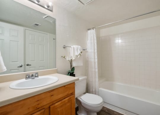 Model bathroom