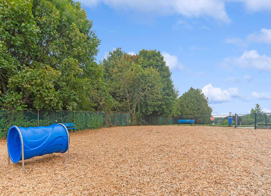 Community Dog Park with Agility Equipment at Heights at Marlborough Apartments located in Marlborough, MA.