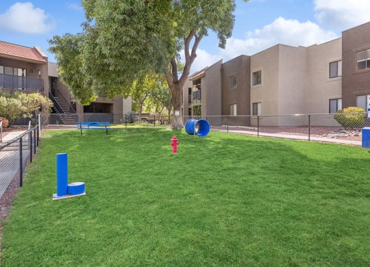 Community Dog Park with Agility Equipment at Saddle Ridge Apartments in Tucson, AZ.