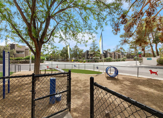 Community Dog Park with Agility Equipment at Meadow Ridge Apartments in Las Vegas, NV.