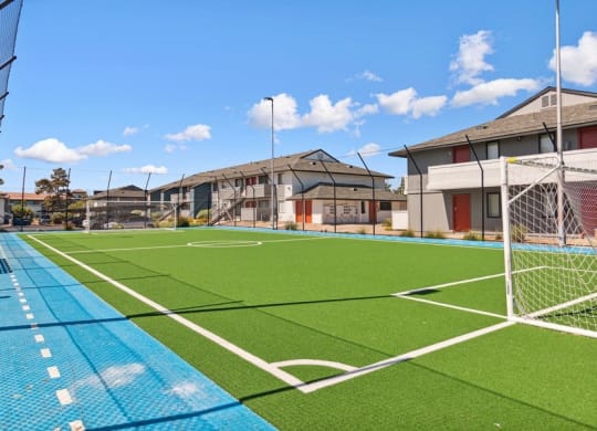 Soccer field