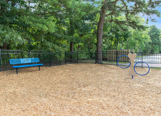Community Dog Park with Agility Equipment at Village at Marshfield Apartments located in Marshfield, MA.