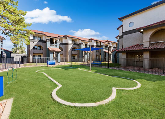 Community Dog Park with Agility Equipment at Stillwater Apartments in Glendale, AZ.